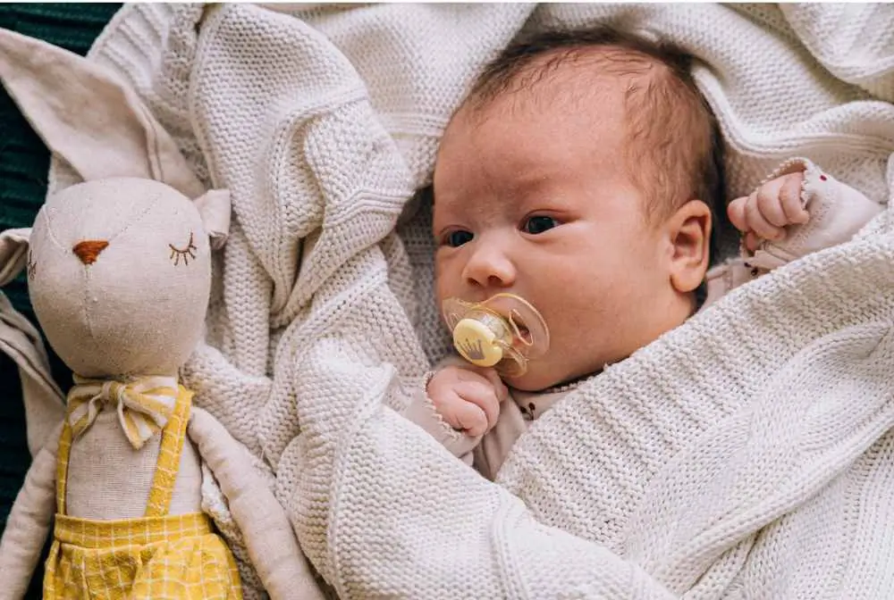 imagem de bebe com chupeta na boca coberto por mantinha de lã olhando para bichinho de pano